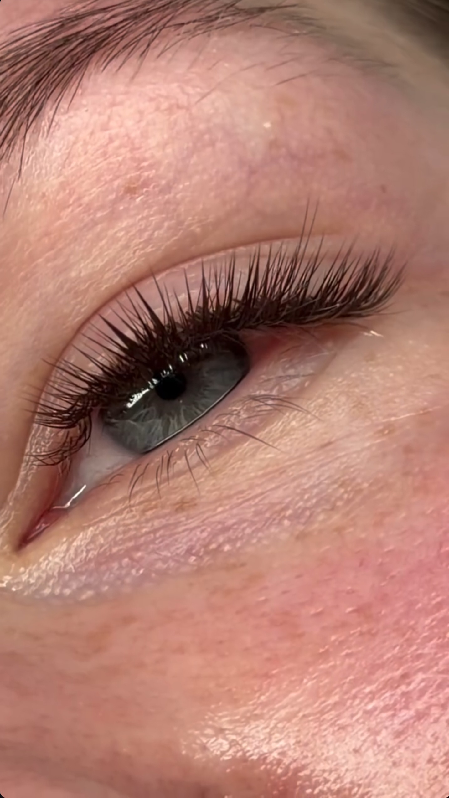 Brown Lashes